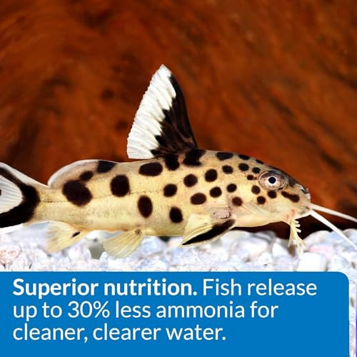 API Bottom Feeder Shrimp Pellet 7.9 Ounce (2 Pack)