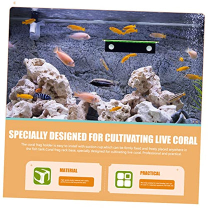 FOMIYES Coral Propagation Support Coral Bracket Multi-Slot Coral Reef Rack Decorative Coral Holder Ceramic Dust Bath House Shelves Brackets Shelf Brackets Acrylic Luxurious Fish Tank, 24X10.5X5.5CM