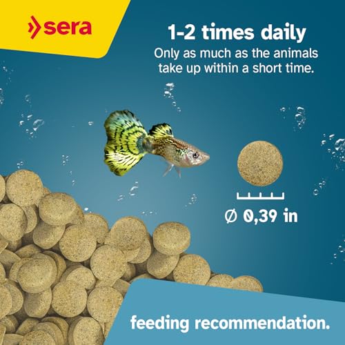 Sera O-Nip Stickies 100 Tabs 2.1 oz | Complete Feed for All Ornamental Fish | Adhesive Tablets Stick to The Aquarium Glass | High Protein | No Dyes & Preservatives | with Bloodworms, Krill & Tubifex - size: 2.1 Ounce (Pack of 1)