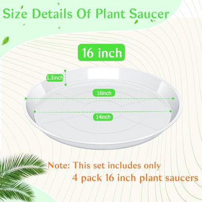 FUIJOL 4 Pack Clear Plant Saucer 16 Inch, Durable Plant Drip Trays Saucers for Pots, No Holes Water Catcher Trays for Indoor Outdoor Planter, Sturdy Base Plate(16", Clear) - size: 16"-4Pack