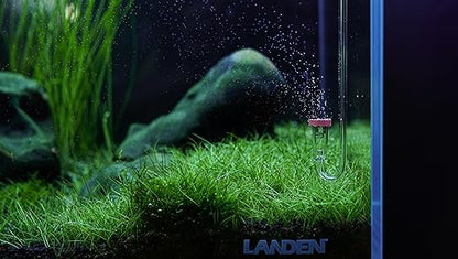 Acrylic CO2 Diffuser for Aquarium 10-30 Gallon Ceramic Disc Planted | Acrylic diffuser, ceramic disc; fine mist - size: S-13mm