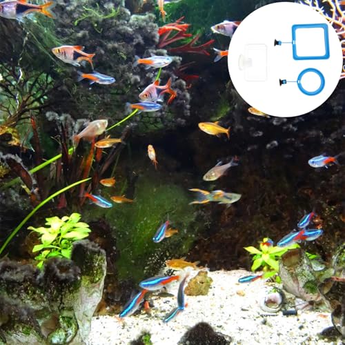 Luxshiny 3pcs Fish Feeding Ring Set with Suction Cups Aquarium Feeder Circles for Tropical Fish Blue and Square Design