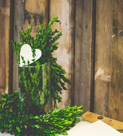 Richland Preserved Boxwood Garland 70" Set of 4 - color: Green, size: 70'' (Set 4)