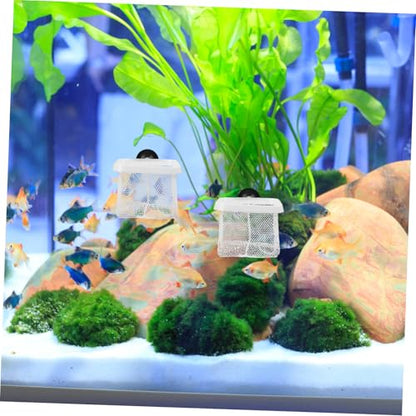 BESPORTBLE 5pcs Fish Breeding Net Cups Aquarium Separator Mesh for Safe Fry and Lightweight Isolation Net for Fish Tanks