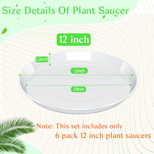 FUIJOL 6 Pack Clear Plant Saucer 12 Inch, Durable Plant Drip Trays Saucers for Pots, No Holes Water Catcher Trays for Indoor Outdoor Planter, Sturdy Base Plate(12", Clear) - size: 12"-6Pack