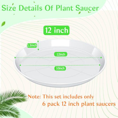 FUIJOL 6 Pack Clear Plant Saucer 12 Inch, Durable Plant Drip Trays Saucers for Pots, No Holes Water Catcher Trays for Indoor Outdoor Planter, Sturdy Base Plate(12", Clear) - size: 12"-6Pack
