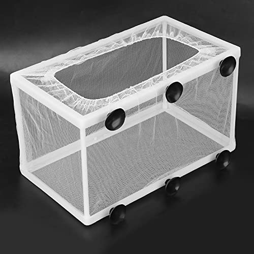 Aquarium Fish Breeder Box Isolation Hatchery with Detachable Frame Locking Feet and Powerful Suction Cup for Fish Fry Hatching Pairing Reproduction and Tank Separation (L) - size: L