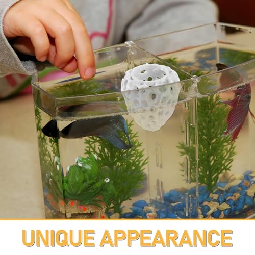 WOONEKY Shrimp Hideout Aquarium Cave with Multiple Holes Hollow Coral Rock Breeding Shelter Fish Tank Decoration for Freshwater Shrimp and Betta Fish