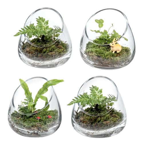 MyGift 5 Inch Premium Clear Glass Air Plant Terrarium, Tealight Candle Holder, Succulent Cactus Plant Vase, Set of 4 - size: Set of 4 (Slanted)