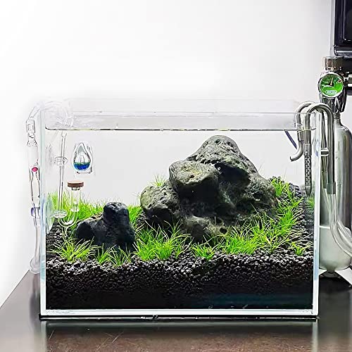 Allcolor Artisan Grade Ultra Clear Rimless Aquarium Tank (6Gal) | Low Iron Glass Fish Tank for Professional Aquascaping and Planted Layouts, 6-60 Gallons (6Gal-Top Glass Canopy) - size: 6Gal 14.1" L × 10.2" W × 10.2" H