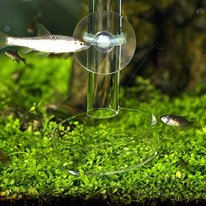 Aquarium Shrimp Feeding Dish High Glass Bottom Feeder Food Bowl 3.9 3.5 3.2 2.6 2.4 Inches Round Tray - size: Large
