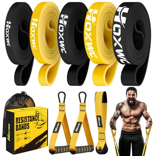 Resistance Bands, Heavy Duty Pull Up Resistance Band with Door Anchor, Handles, Exercise Bands for Working Out Men&Women, Ideal for Pull Up, Muscle Training, Physical Therapy, and Home Workouts
