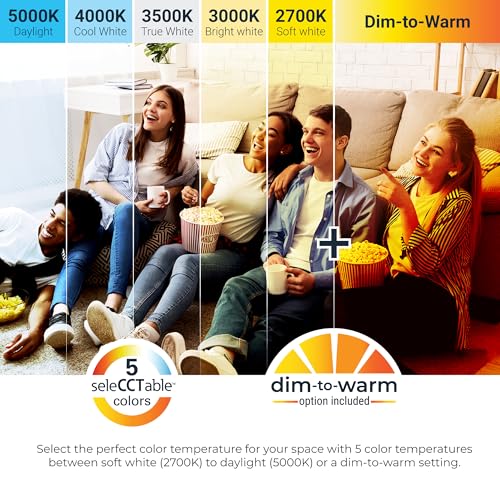 HALO RA 4 in Canless LED Recessed Downlight with Adjustable Gimbal, Selectable Lumens and Selectable Color Temperatures, Dim-to-Warm Technology, Damp Location Rated - RA4LS9FSD2W1EWHDM - size: 4 in