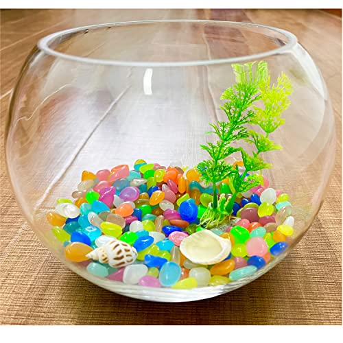 SEETOOOGAMES Glow in Dark Rocks - Glow Pebbles Stones for Outdoor Garden, Aquarium, Walkway, Yard Accessories, Turtle Fish Tank Gravel, Landscaping Decorations - 500 Mixed - style: 500 MIXED