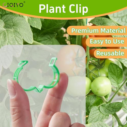 Plant Support Clips,Plastic Clips for Securing Plants,Tomato Vine Clips,Plant Fixing Clips,Garden Clips for Climbing Plants,Grape and Vine Vegetables (100, Light Green) - color: Light Green