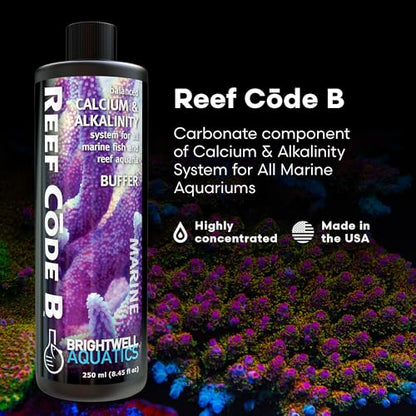 Brightwell Aquatics - Reef Code B - Balanced Calcium & Alkalinity System Water Conditioner - For All Saltwater Marine Fish & Reef Fish Tanks - Aquarium Water Treatments, 8.45 fl oz - size: 250-ml