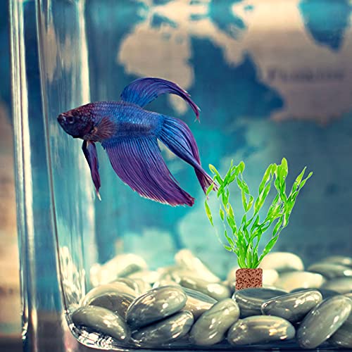 iplusmile 20pcs Aquatic Water Plant Fixed Ring for Aquarium Plant Ring Decor Pottery Holder Fixed Cup for Aquarium Fish Tank Landscape Decoration Accessories