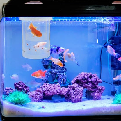 Lurrose Floating Aquarium Fish Incubation Box with Fine and Coarse Mesh Nets, Fish Breeding Isolation Hatchery Tank for Guppy Betta Shrimp Fry, White Set for Aquarium Breeding and Nursery