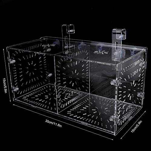 Fydun Fish Isolation Breeding, Box Acrylic Incubator Ing Seedlings Incubation Reproduction Aquarium Ery and Parenting for Aquarium (30CM*15CM*15CM) - size: 30CM*15CM*15CM, style: 30CM*15CM*15CM
