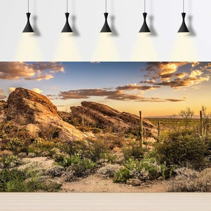 Sunset Rock Mountain Aquarium Background Stunning Towering Saguaro Cacti Vibrant Desert Reptile Tank Background Desert Barren Thorns Fish Tank Backgrounds Sunrise Gobi Terrarium Backgrounds 24x16in - color: Brown, size: 24(W)x16(H)in
