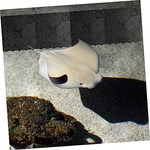 20Pcs PVC Bottom Plate for Fish Tank Black Clapboard Aquarium Divider with Excellent Water Permeability and Easy Installation