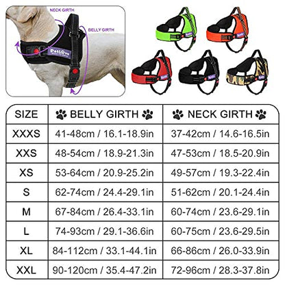 PetLove Dog Harness, Adjustable Soft Leash Padded No Pull Dog Harness for Small Medium Large Dogs, Red - color: Red, size: XXS