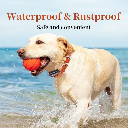 Waterproof TPU Replacement Strap for Dog Training Collar, 27.5 in - color: Orange