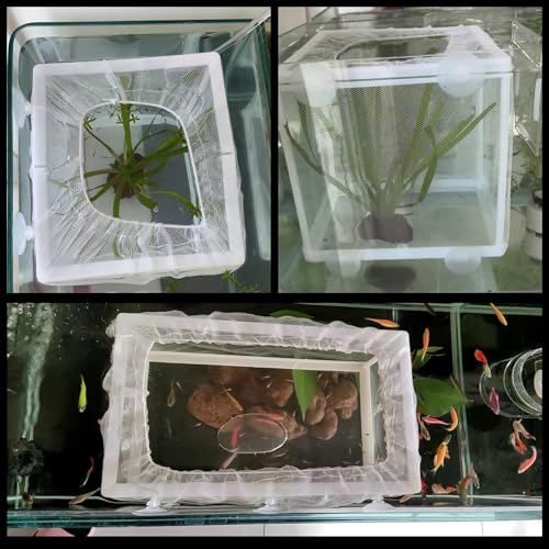 2 Pcs Fish Breeder Incubator Mesh Box, Breeding Box for Fish Tank with Suction Cup