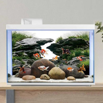 AWERT 24x16 inches Viewing Stone Fish Tank Background River Bed & Lake Aquarium Background Seaweed Aquarium Vinyl Background - size: 24x16in/60x40cm