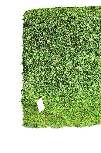 Preserved Moss Runner and Mats (18in x 25ft Runner) - color: 18in X 25ft Runner
