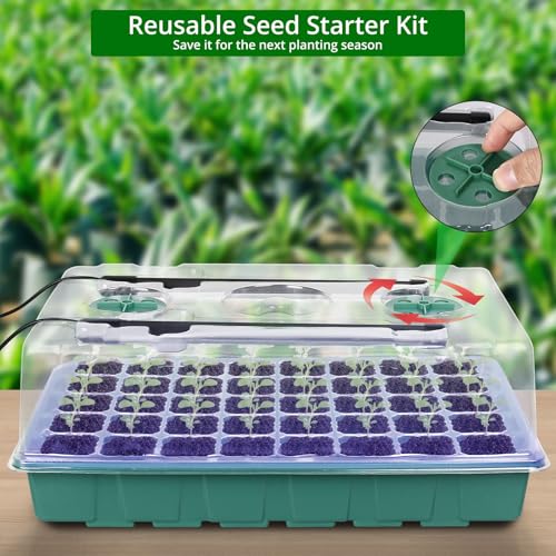 Sondiko Seed Starter Tray with Grow Light, Intelligent Display Digital Controller, 80 Cells Seed Starter Kit with Humidity Dome, Adjustable Brightness Indoor Plants Germination Kit(2 Pack) - color: Dark Green
