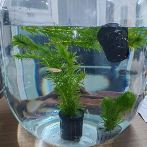 16lots Plant Container Aquariums Planting Basket for Homes and Public Aquariums Water Plant Fixing Basket - color: White
