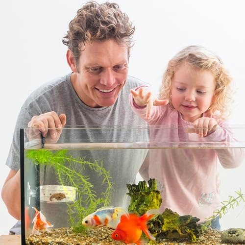 Mipcase 5pcs Acrylic Fish Feeding Cup with Suction Cup, 6.5cm Aquarium Feeder Bowl for Fish Tank and Shrimp Feeding, Aquatic Supplies for Aquarium Accessories