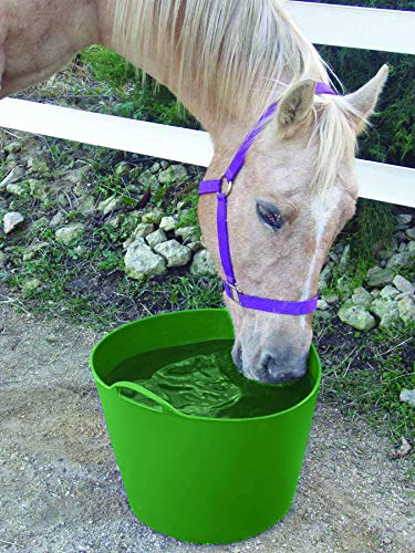 Little Giant® Poly/Rubber FlexTub Bucket | Ultra Durable & Versatile Farm Tub | Plastic Synthetic Gardening Tub (1, Green) - color: Green