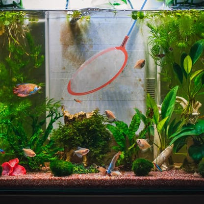 GALPADA 10pcs Aquarium Fish Landing Nets Small Fine Mesh Fish Tank Net Portable Fishing Gear for Outdoor Catching and Aquarium Cleaning Random Color