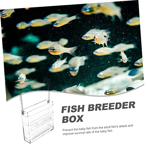 Aquarium Shrimp Breeding Container Isolation Box for Fish Durable Nursery for Fish Fry Prevents Aggressive Interactions Easy to Clean