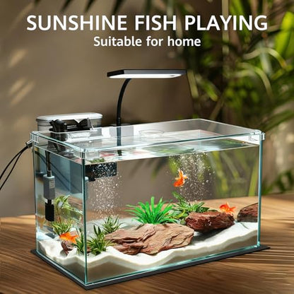 Vimvins 10 Gallon Glass Small Fish Tank with Filter Light and Lid, Aquarium Starter Kit - size: 10 Gallon