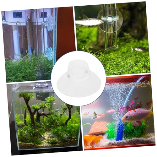 KESYOO 50pcs Fish Tank Feeder Cups Holders for Secure Feeding Aquariums Transparent Design for Elegant Look for Tanks - size: 2.60X2.60X1.50CM