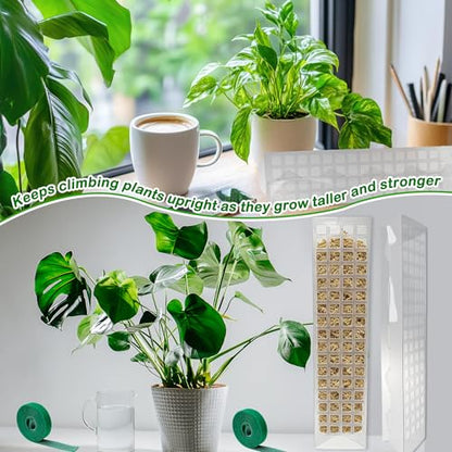 10 Pcs 15 Inches Plastic Moss Pole for Plants Monstera Set with 5 Pcs Velcro Strips for Climbing Plants Plant Support for Indoor Plants Garden Ties with Sphagnum Moss