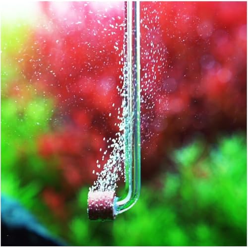 Aquario Neo CO2 Aquarium Diffuser - CO2 Diffuser Aquarium Kit, CO2 Diffuser for Aquarium Plants, CO2 System for Aquarium - Normal Diffuser, Tiny - size: Tiny