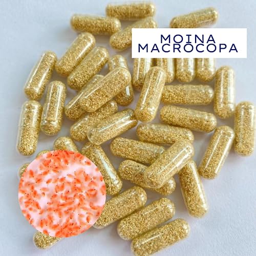 Two Capsule Moina MACROCOPA Water FLEA Eggs Alive Fresh for Killifish/Fish
