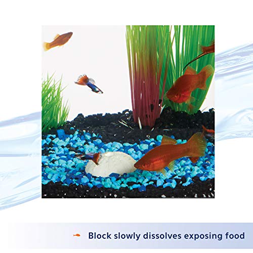 Aqueon 7 Day Vacation Feeder Slow- Release Fish Food for Tropical Fish - 4 Pack - size: 0.67 Ounce (Pack of 4)