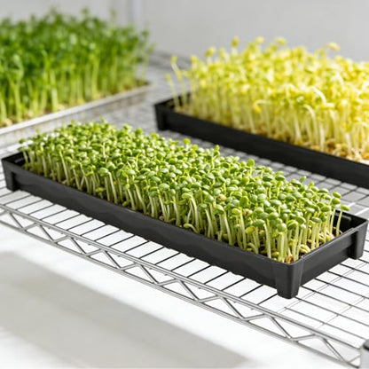 5 Pack Plant Saucer Growing Tray, Rectangular Windowsill Plant Pot Trays with Removable Drainage Hole, Seed Starter Tray Plastic Plant Drainage Saucers for 4 inch Flower Seedling Pots - size: 16"x4.5"x1.5"