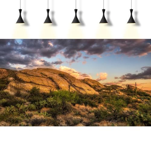 Reptile Terrarium Background Sunset Over Rocks Terrarium Background Reptile Tank Background Desert Thorns Rocky Bush Reptile Habitat Background Bearded Dragon Fish Tank Aquarium Background 24x12in - color: Gobi Grey, size: 24(W)x12(H)inches/ 60(W)*30cm(H)