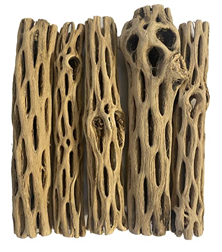 Awesome Aquatic Natural Cholla Choya Wood 5 Pieces 6” for Shrimp Habitat and Food Treat Hermit Crabs Plecos Aquarium Decoration Lowers pH Hideouts and Chew Toys Reptiles Thorn Free Dried Organic - size: 5 pc 6 inch