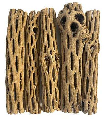 Awesome Aquatic Natural Cholla Choya Wood 5 Pieces 6” for Shrimp Habitat and Food Treat Hermit Crabs Plecos Aquarium Decoration Lowers pH Hideouts and Chew Toys Reptiles Thorn Free Dried Organic - size: 5 pc 6 inch