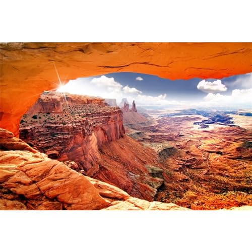 AWERT Stone Reptile Habitat Background Sky Oasis Mountain Cactus Sun and Desert Terrarium Background 48x20 inches Polyester Background | AWERT Sky Sun Mountain Canyon View Polyester Terrarium Background - size: 48x20in/120x50cm