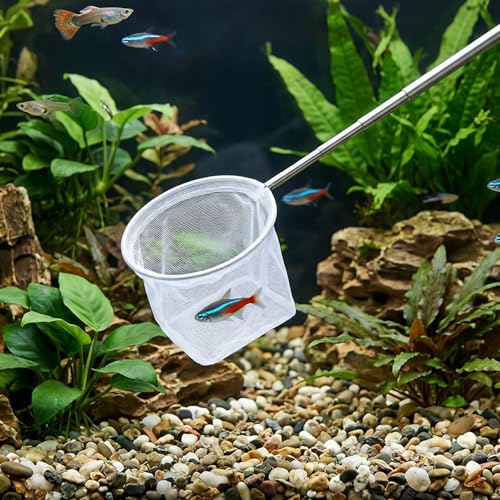 4 Pack Aquarium Fish Net, 3", 3.74" Shrimp Nets Small Fish Net for Tank Aquarium Fishes Nets with Extendable Handle for Shrimp Bettas Fishes Tank (White, Round and Square)
