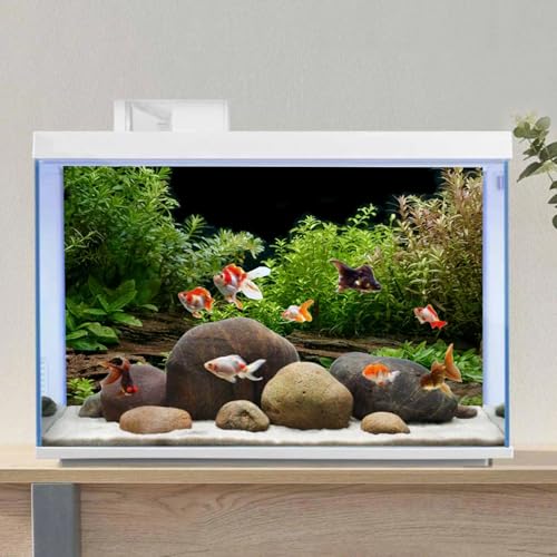 Aquarium Background Aquatic Plant Fish Tank Background Vinyl 48x20 inches - size: 48x20in/120x50cm