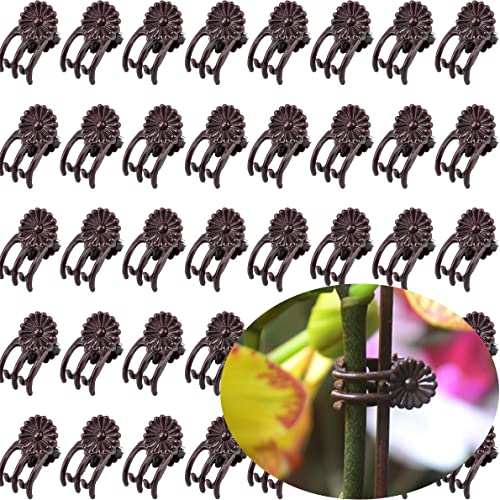 40-PCs Orchid Clips for Plants Support - Brown, for Small - Middle Climbing Plants Vine Plants & Single Stem Plants - color: Brown